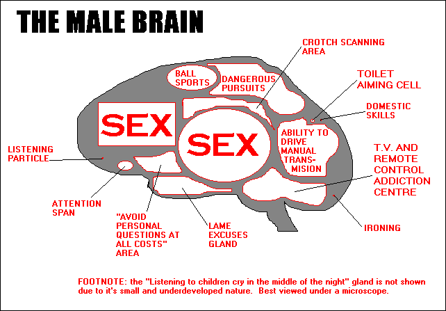 The Male Brain